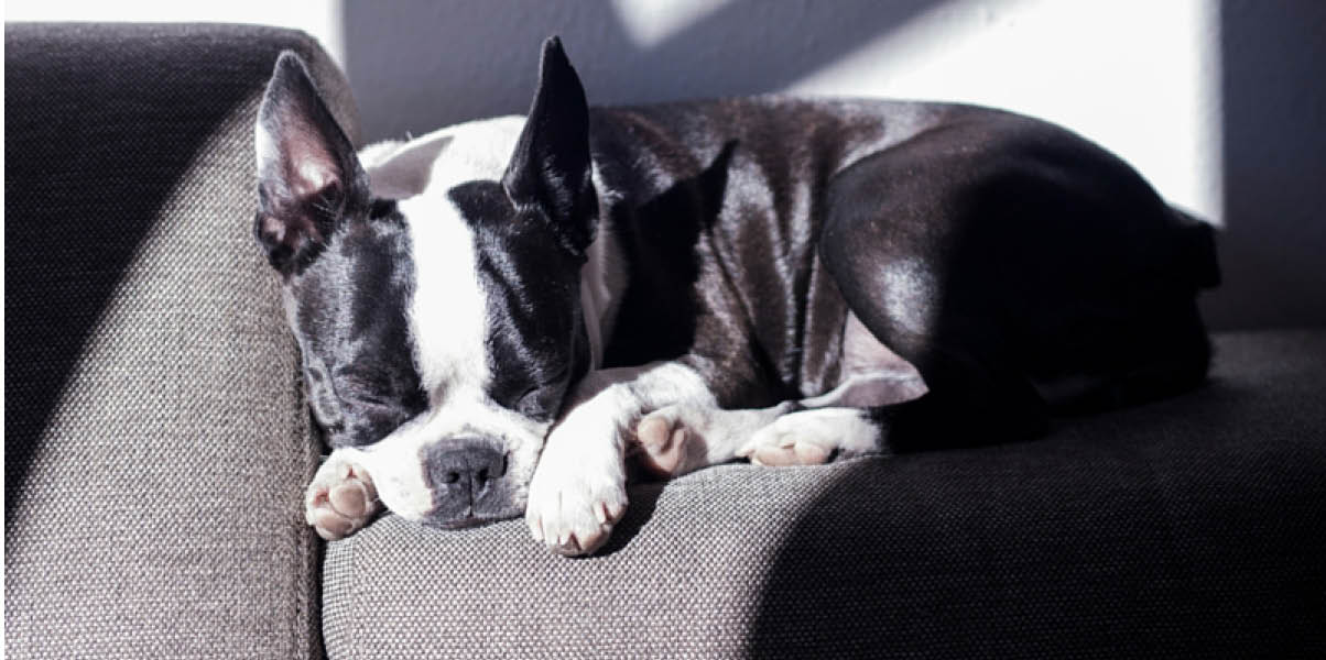 17 motivation tips for changemakers wide