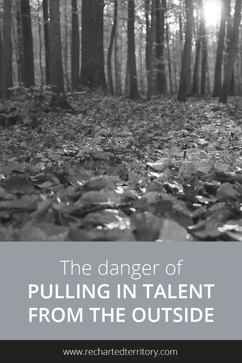 The danger of pulling in talent from the outside