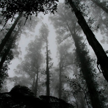 Dealing with fear and scary systems