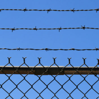 Work like a freedom fighter