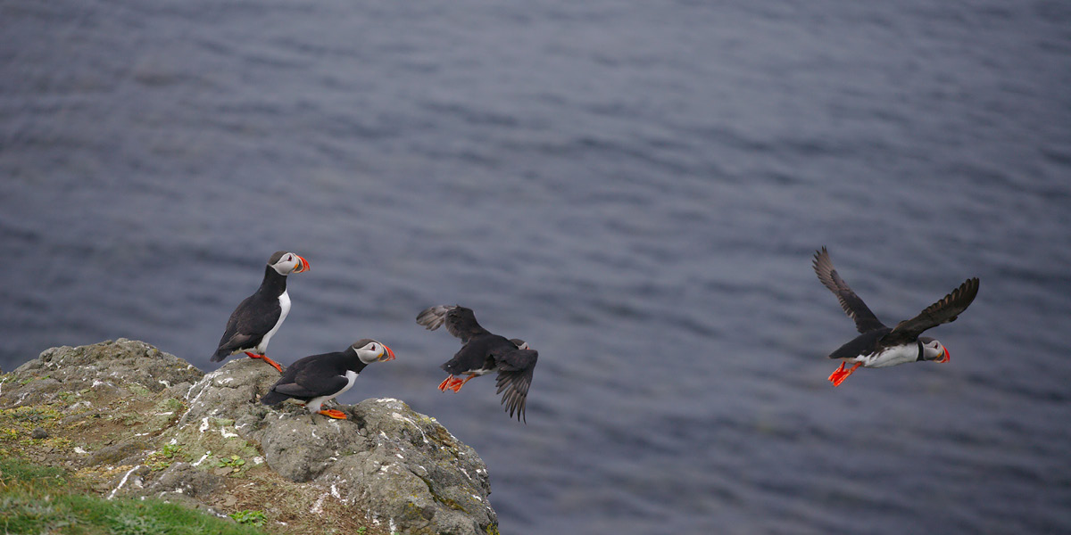 How to sell change to a committee