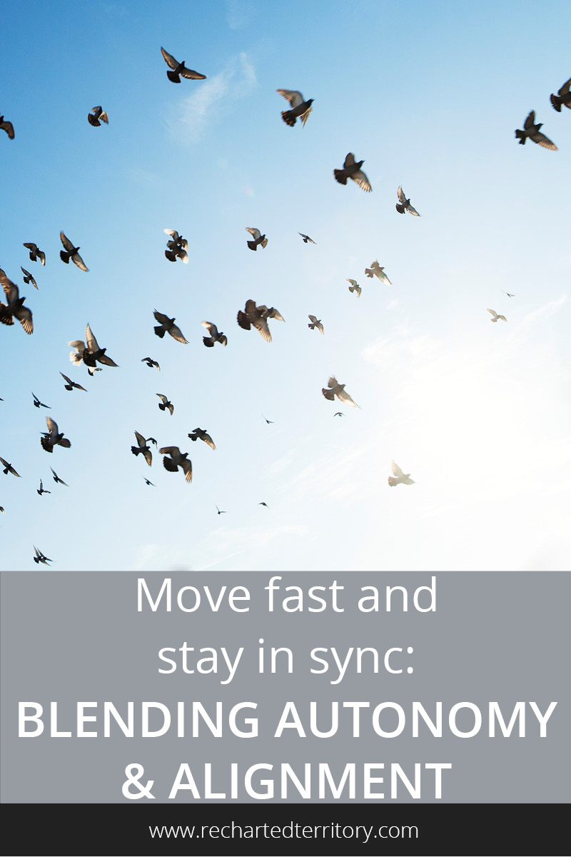 Move fast and stay in sync- Blending autonomy and alignment
