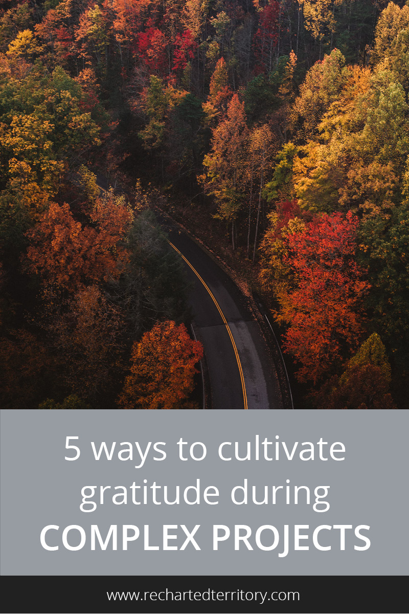 5 ways to cultivate gratitude during complex projects