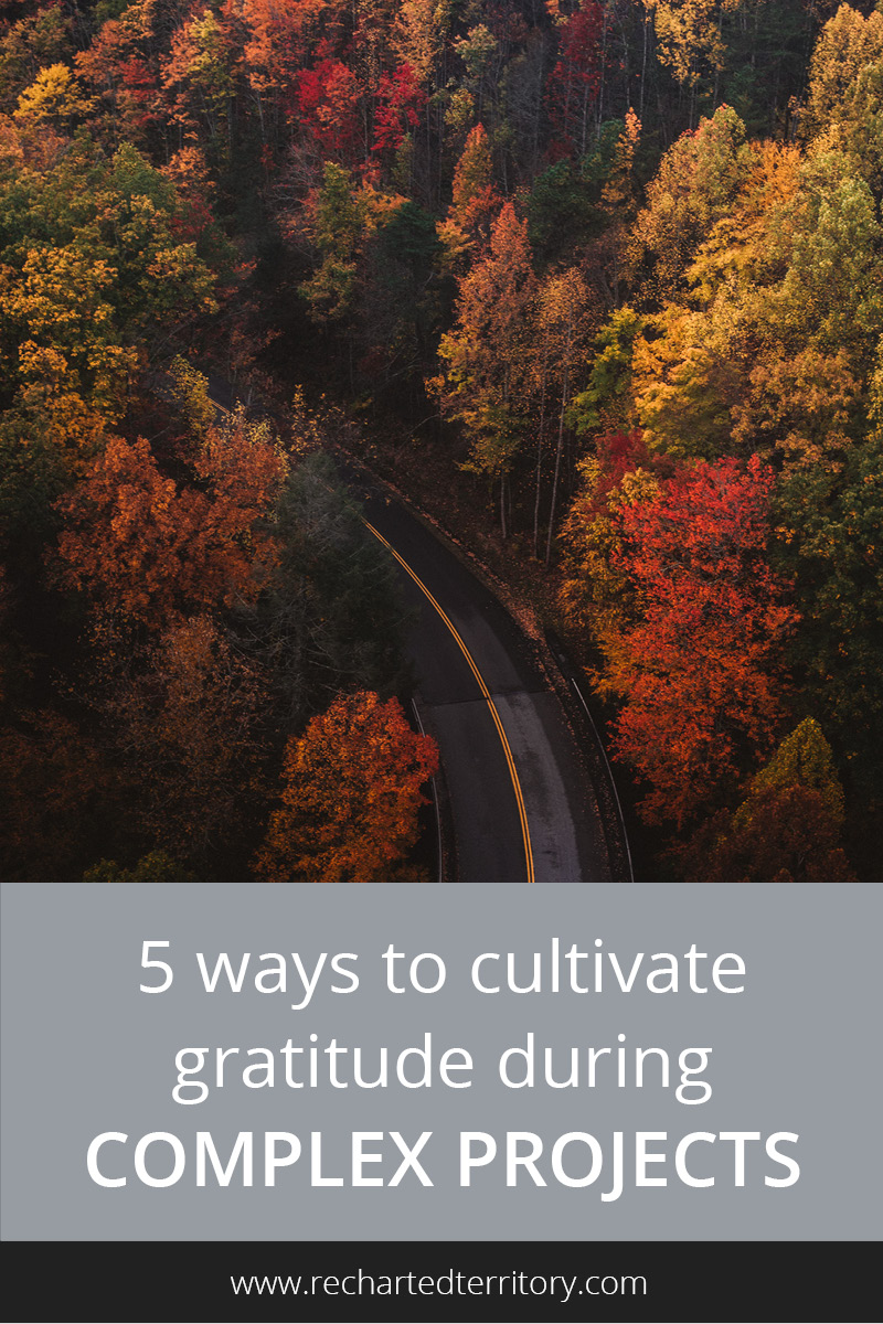 5 ways to cultivate gratitude during complex projects