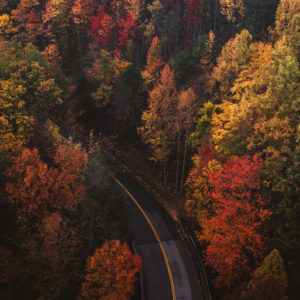 5 ways to cultivate gratitude during complex projects