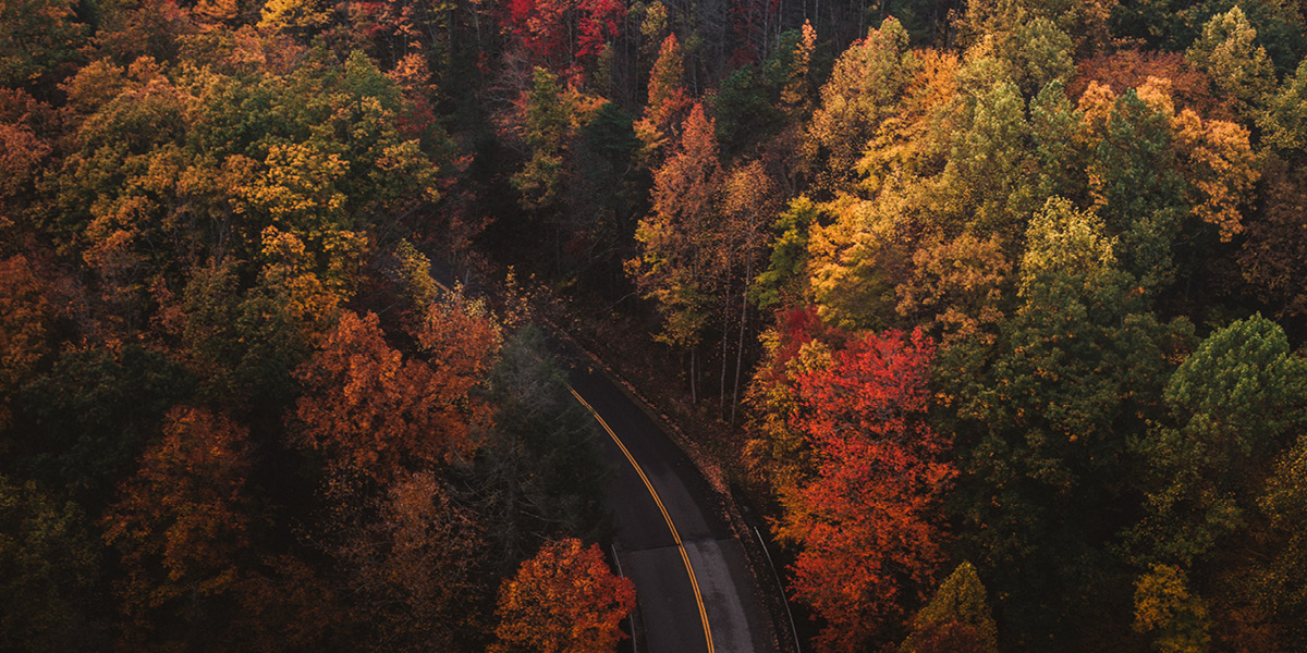 5 ways to cultivate gratitude during complex projects