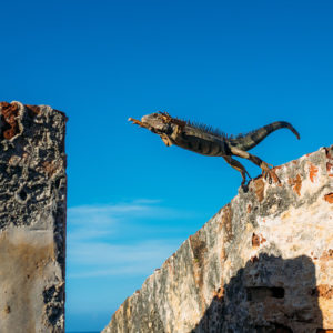 5 fast and simple ways to make your projects less risky