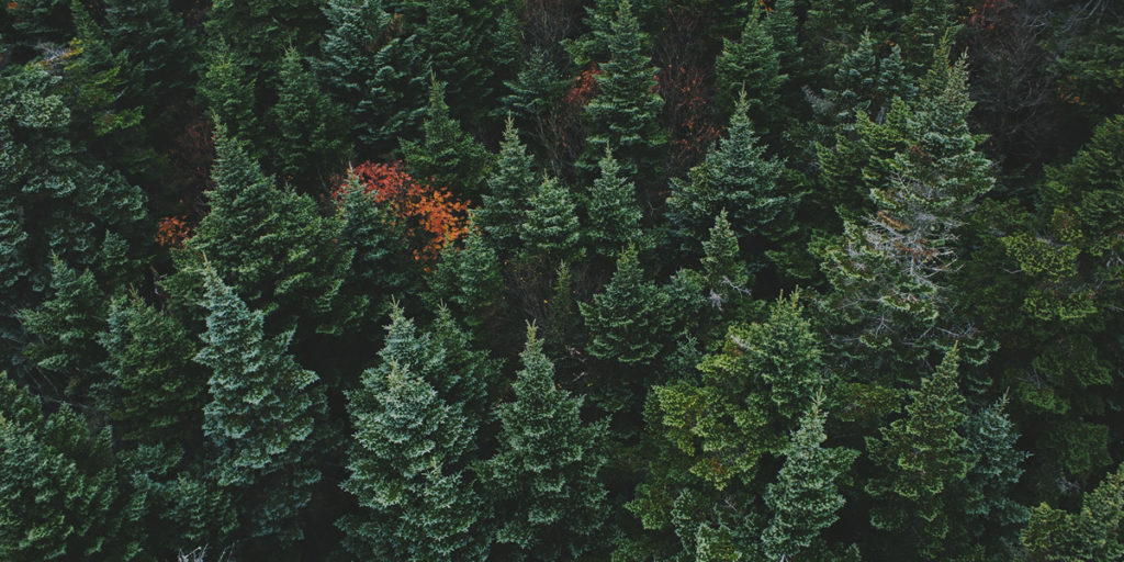 Implementing a betterness portfolio