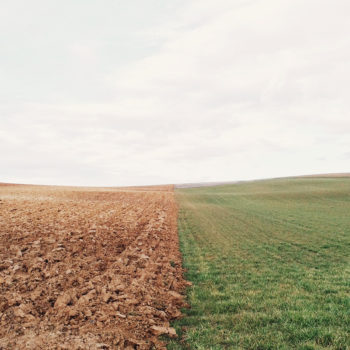 Tackle two transformations at once